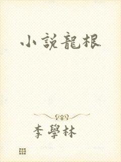 小说龙根