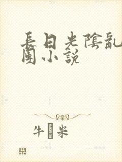 长日光阴乱作一团小说