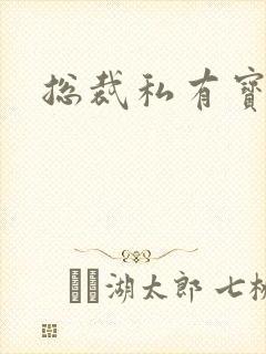 总裁私有宝贝