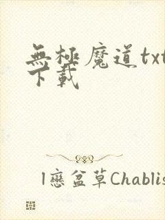 无极魔道txt下载
