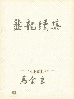 盘龙续集