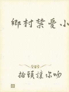 乡村禁爱小说封面