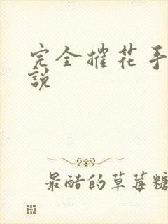 完全摧花手册小说