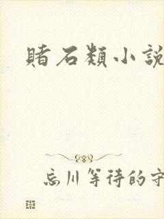 赌石类小说