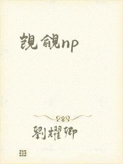 觊觎np