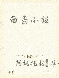 白素小说