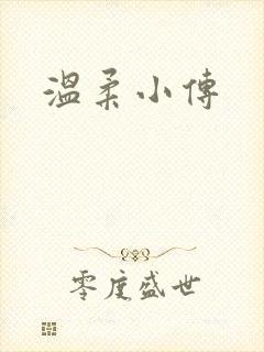 温柔小传