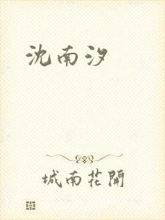 沈南汐