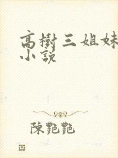 高树三姐妹有声小说封面