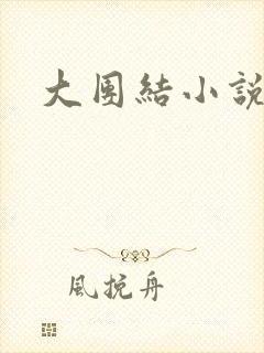大团结小说全文封面