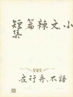 短篇辣文小说合集