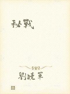 秘战