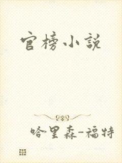 官榜小说封面