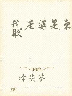我老婆是东方不败封面