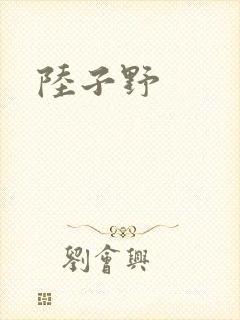 陆子野封面
