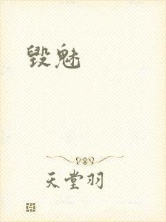 毁魅