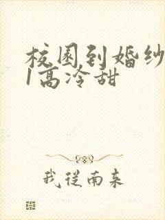 校园到婚纱1V1高冷甜
