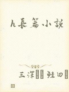 h长篇小说