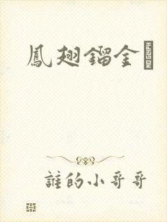 凤翅镏金镋封面
