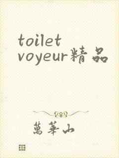 toilet voyeur精品