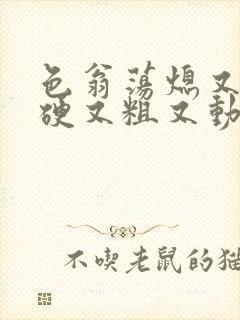 色翁荡熄又大又硬又粗又动态图
