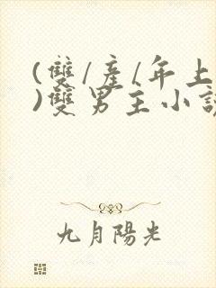 (双/产/年上)双男主小说