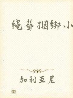 绳艺捆绑小说