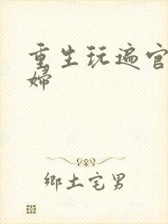 重生玩遍官场贵妇
