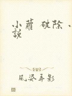 小萝 破除 小说