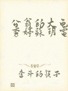 公翁的大龟挺进秀婷苏玥电影
