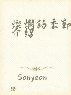灿烂的季节剧情介绍
