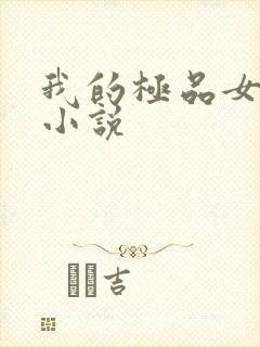 我的极品女老师小说