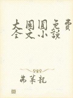 大团圆免费阅读全文小说封面