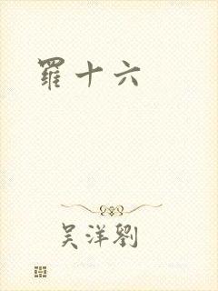 罗十六