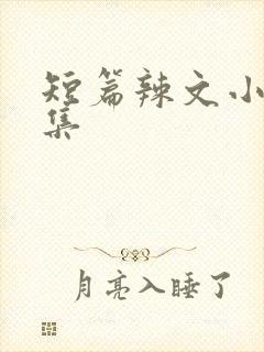 短篇辣文小说合集