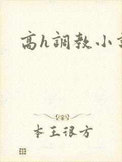 高h调教小说封面