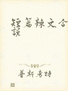 短篇辣文合集小说