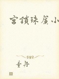 宫锁珠帘小说