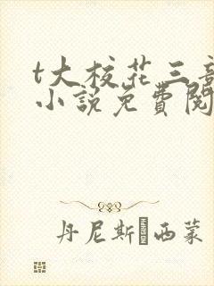 t大校花三部曲小说免费阅读全文