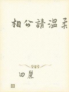 相公请温柔一点