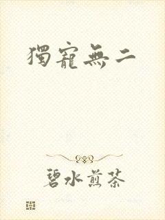 独宠无二封面