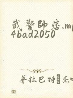 武警帅痞.mp4bad2050封面