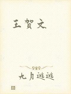 王贺文