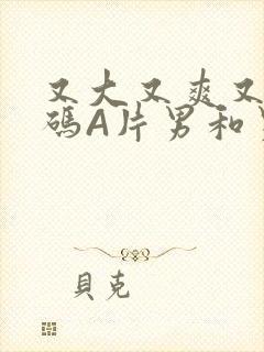 又大又爽又黄无码A片男和男