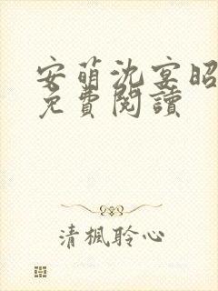 安萌沈宴昭小说免费阅读封面