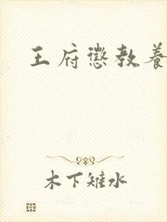 王府惩教养日常