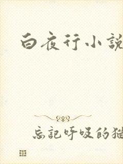 白夜行小说下载封面