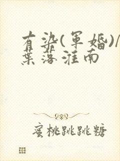 有染(军婚)/叶落淮南