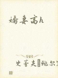 娇妻高h封面