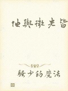 他与微光皆倾城封面